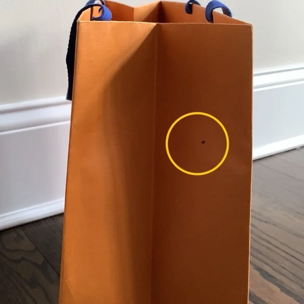 Louis Vuitton Medium 16”x13” Empty Paper Shopping Tote - Replacement Gift Bag